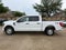 2023 Ford F-150 XL 2WD SuperCrew 5.5' Box