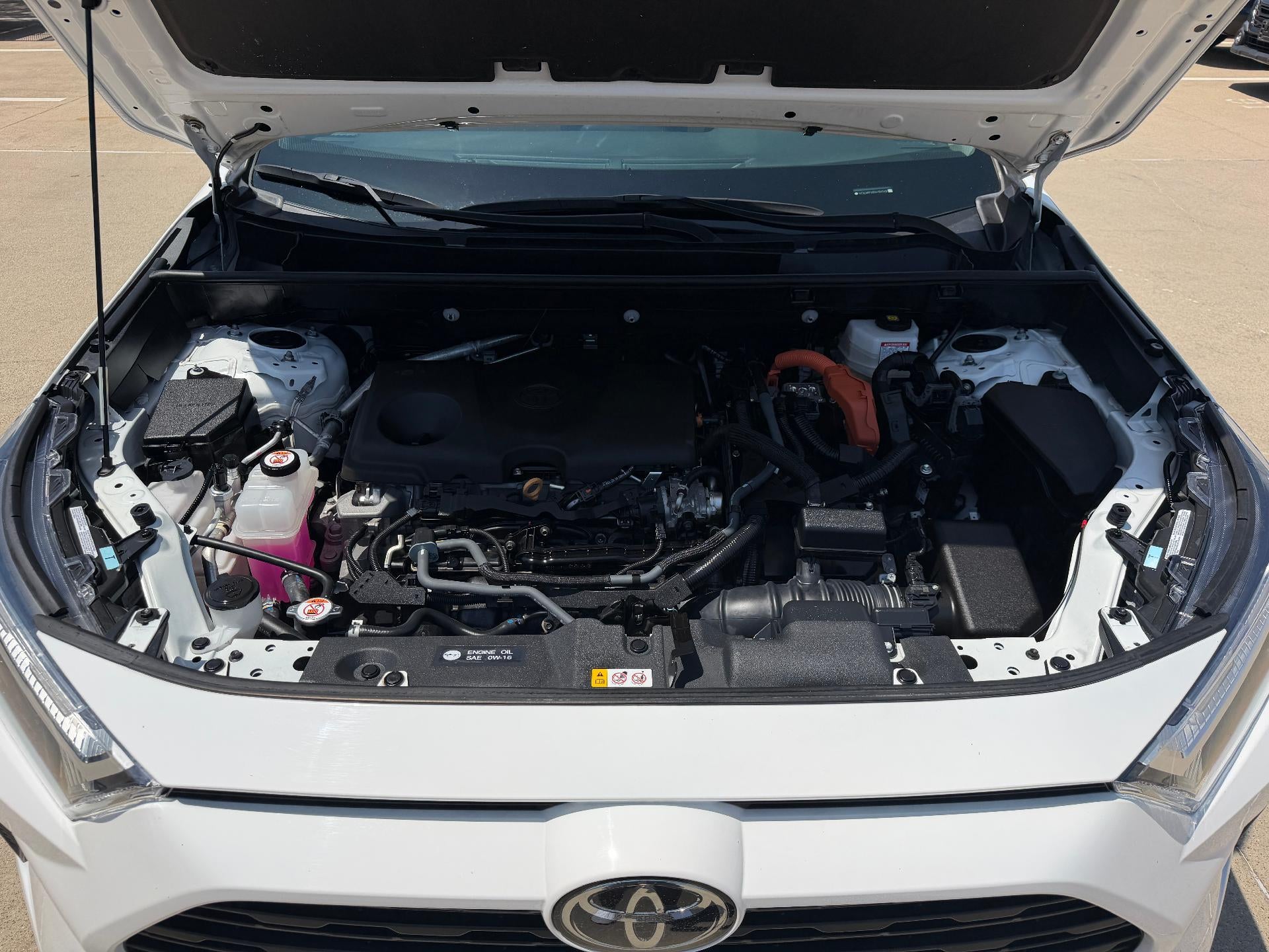 2025 Toyota RAV4 Hybrid LE AWD (Natl)